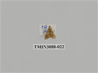 藏品(螟蛾66)的圖片